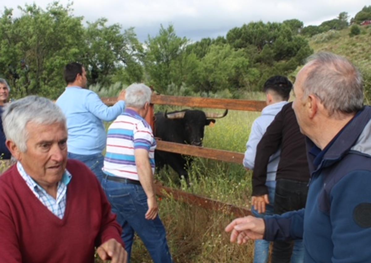 Imagen secundaria 1 - Encierro en La Parrilla.