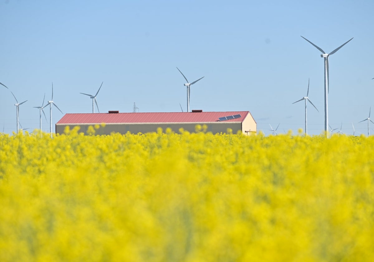 La producción de energías limpias convive en Barruelo del Valle con la agricultura.