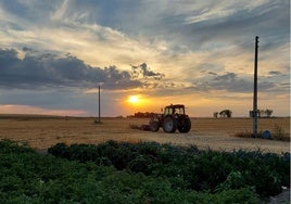 Agricultor de Langa, en plena tarea.