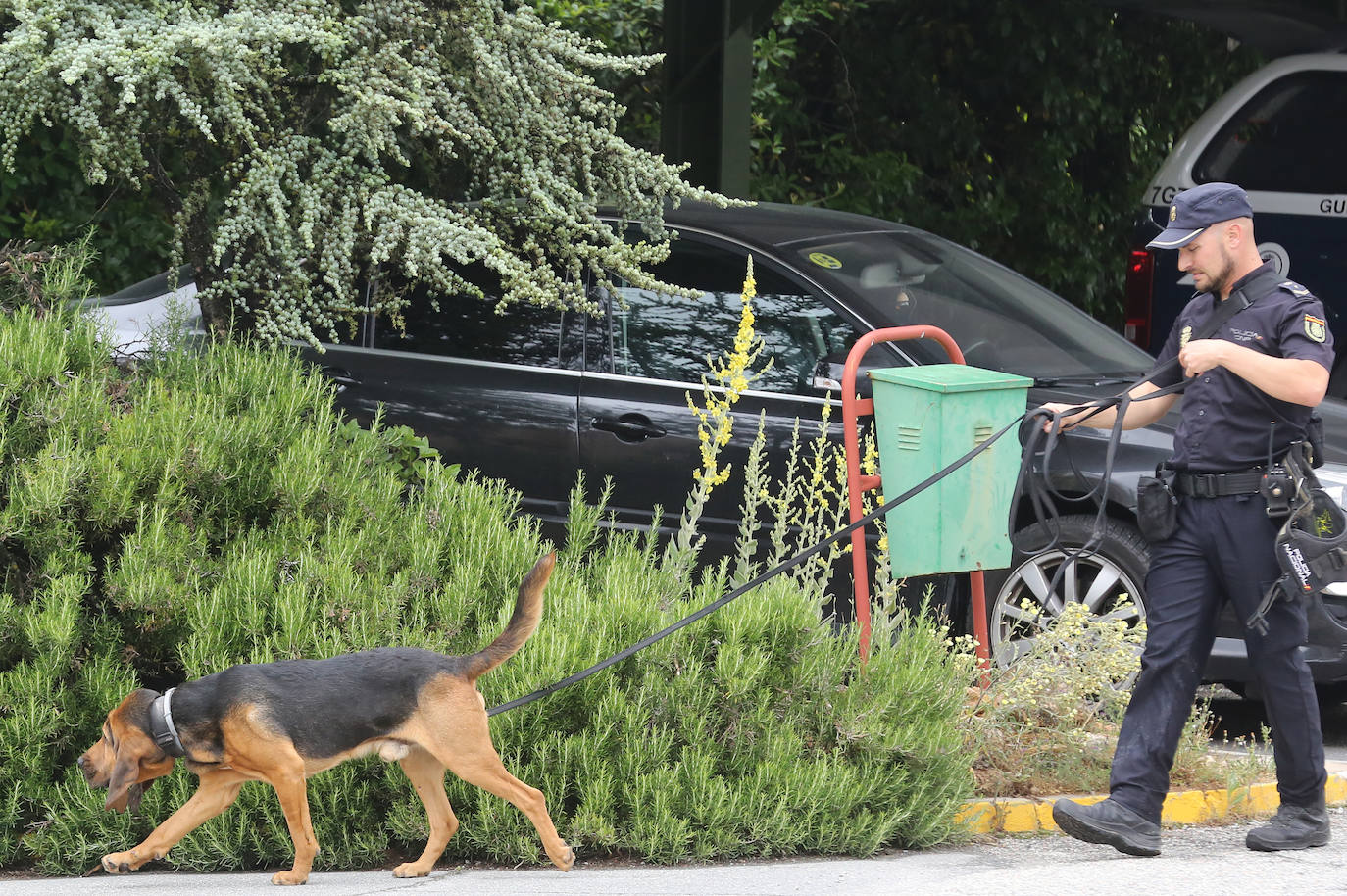 Batidas para encontrar al hombre desaparecido en Segovia