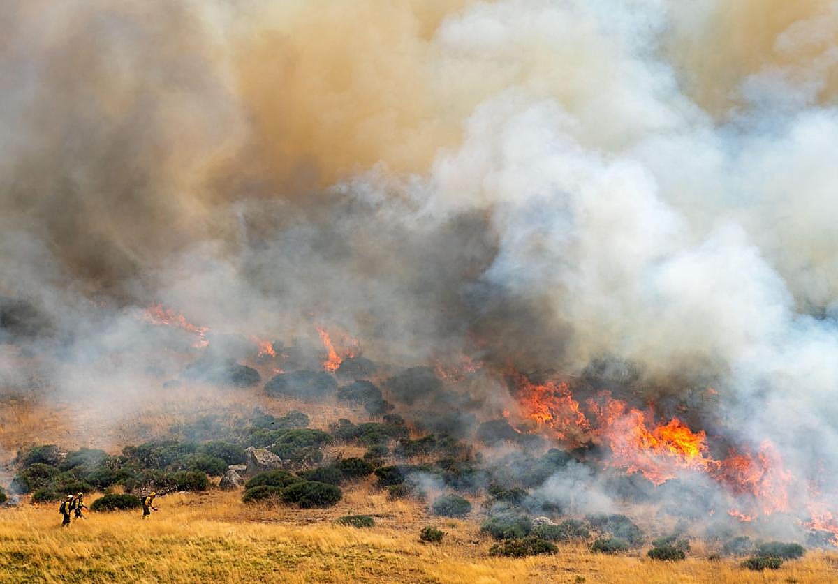 Incendio en el término de Navalacruz (Ávila) en agosto de 2021.