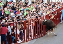 Un momento del espectáculo taurino.