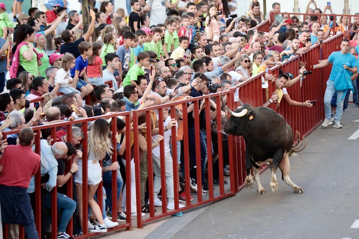 Un momento del espectáculo taurino.