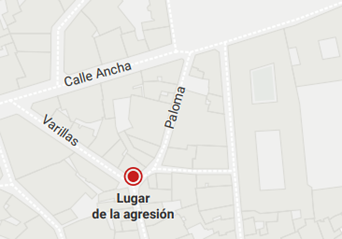 Agreden a catorce estudiantes de Erasmus que estaban de fiesta en León