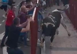 Un toro siembra el pánico en el encierro de Arroyo al romper la talanquera