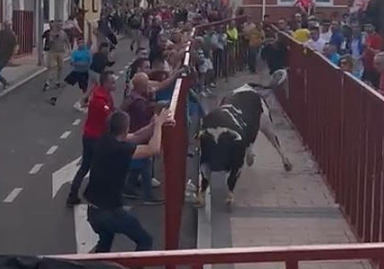 Un toro siembra el pánico en el encierro de Arroyo al romper la talanquera