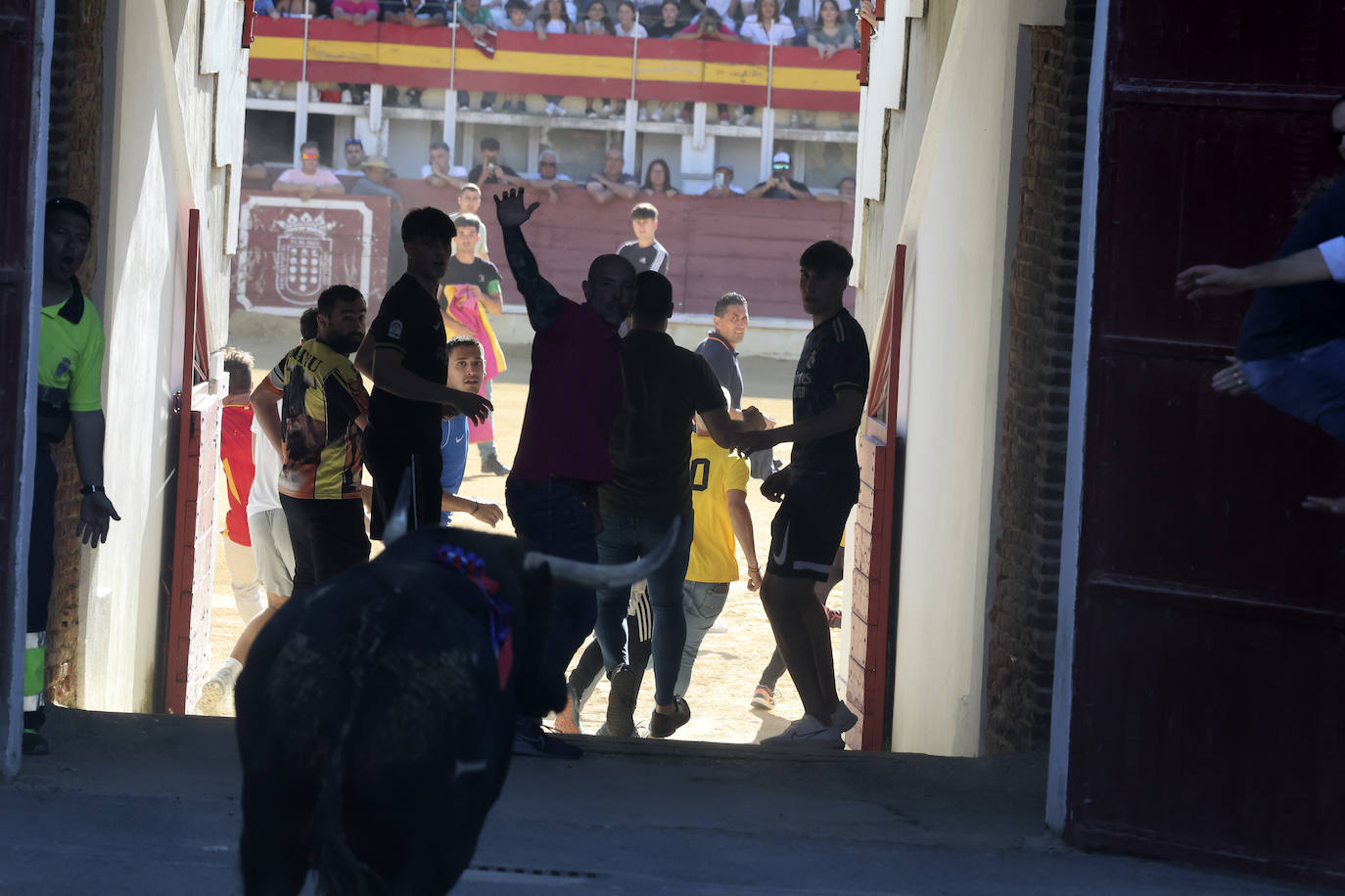 El álbum con los lances del Toro de la Feria de Medina del Campo