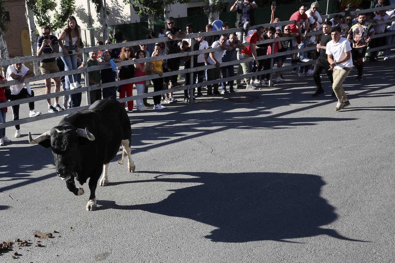 El álbum con los lances del Toro de la Feria de Medina del Campo