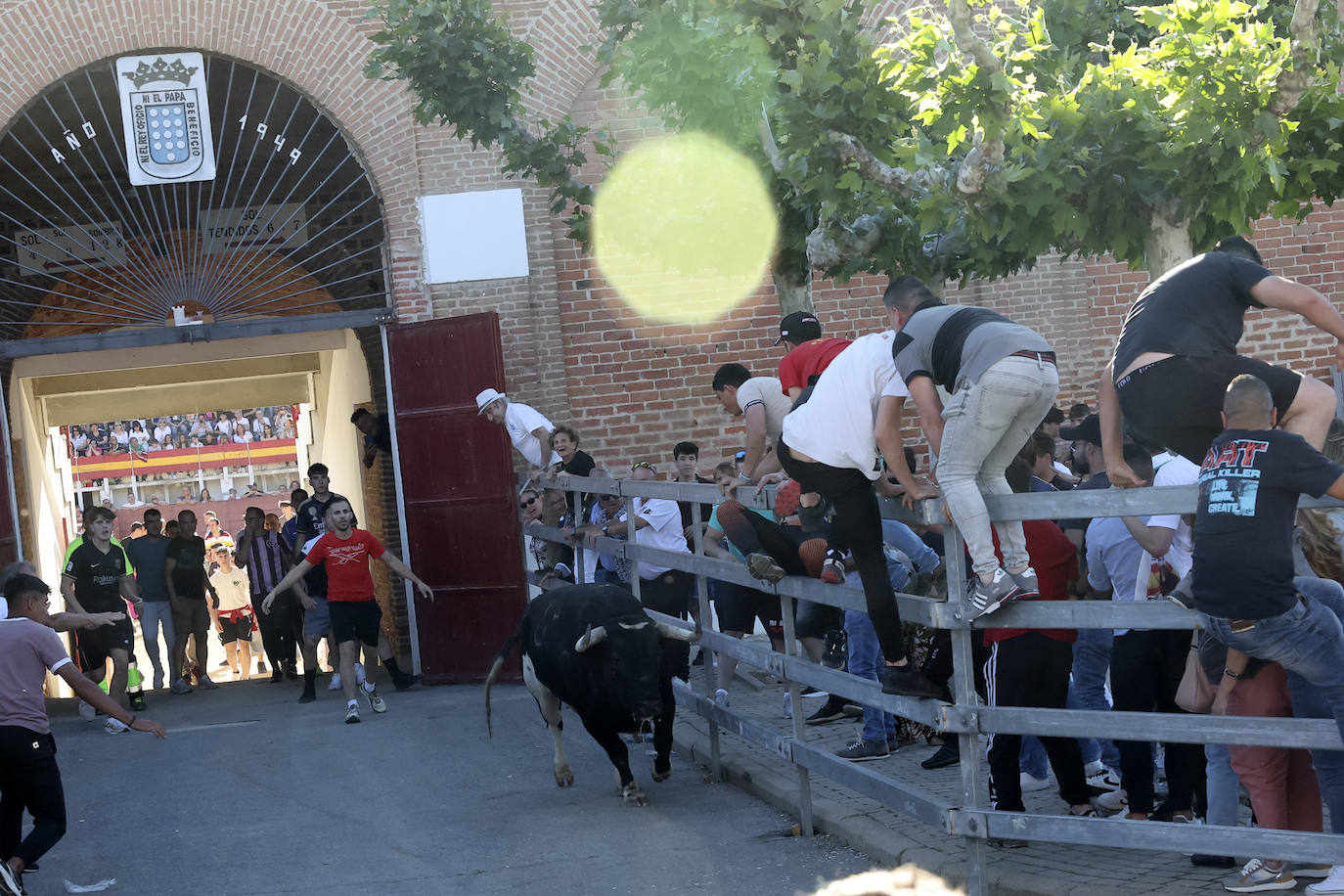 El álbum con los lances del Toro de la Feria de Medina del Campo