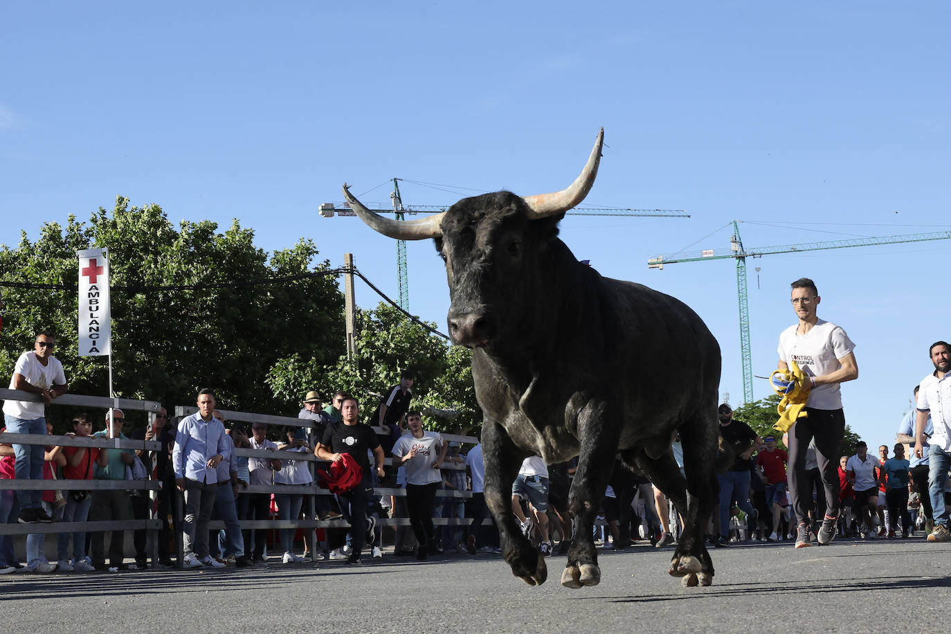 El álbum con los lances del Toro de la Feria de Medina del Campo