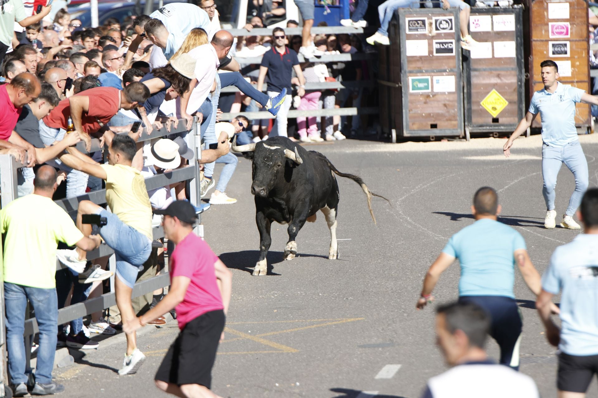 El álbum con los lances del Toro de la Feria de Medina del Campo