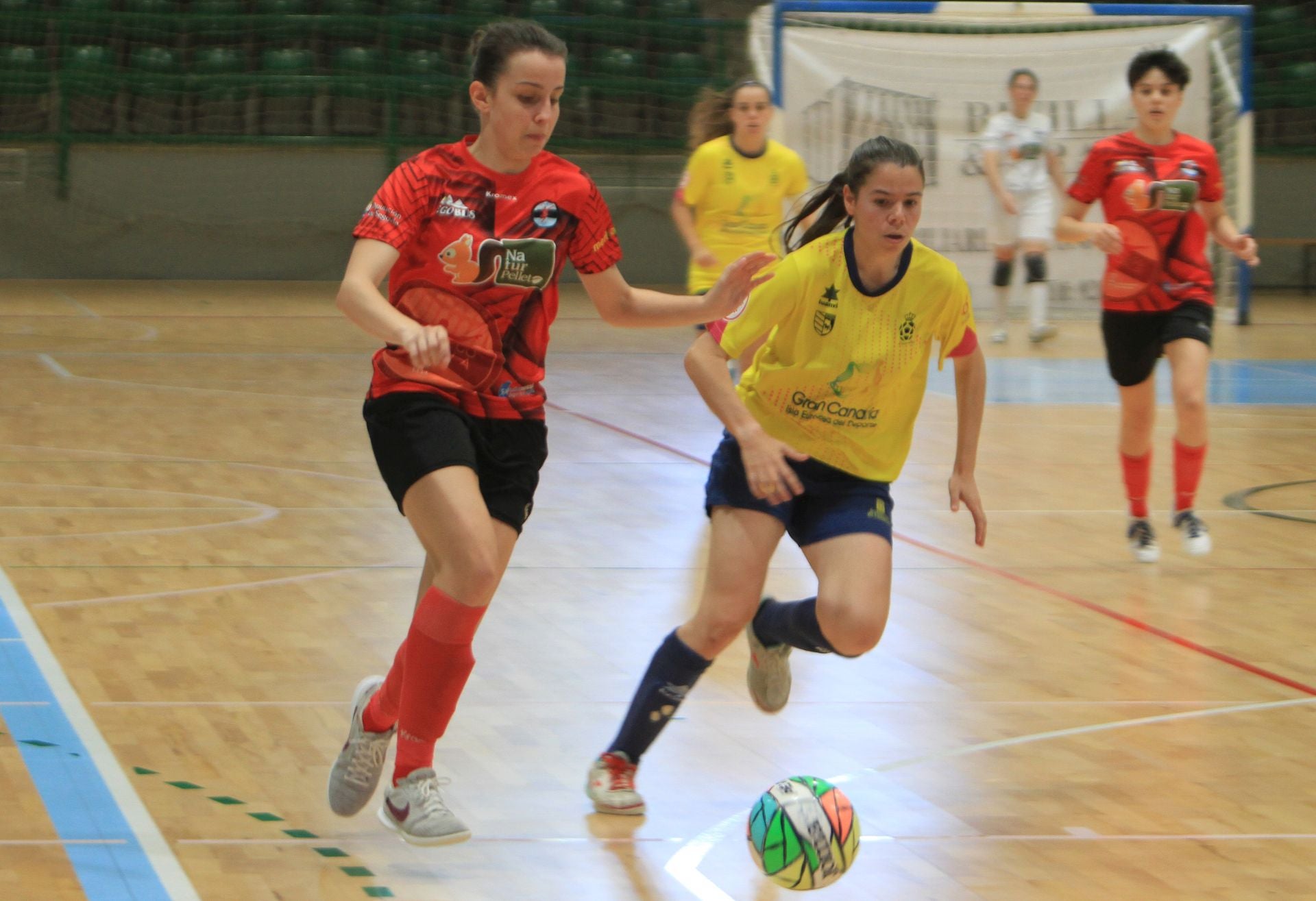 Fotografías del partido entre el Segosala Naturpellet y el Teldeportivo