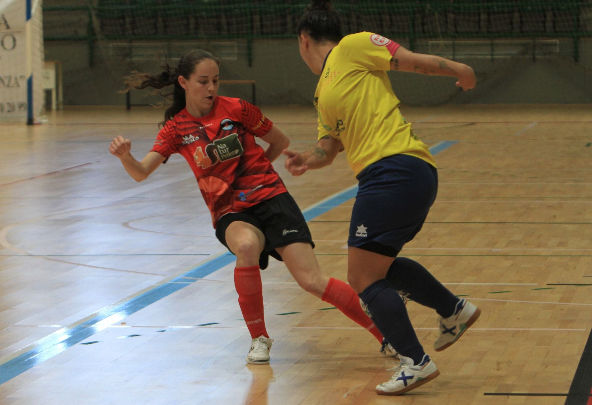 Fotografías del partido entre el Segosala Naturpellet y el Teldeportivo