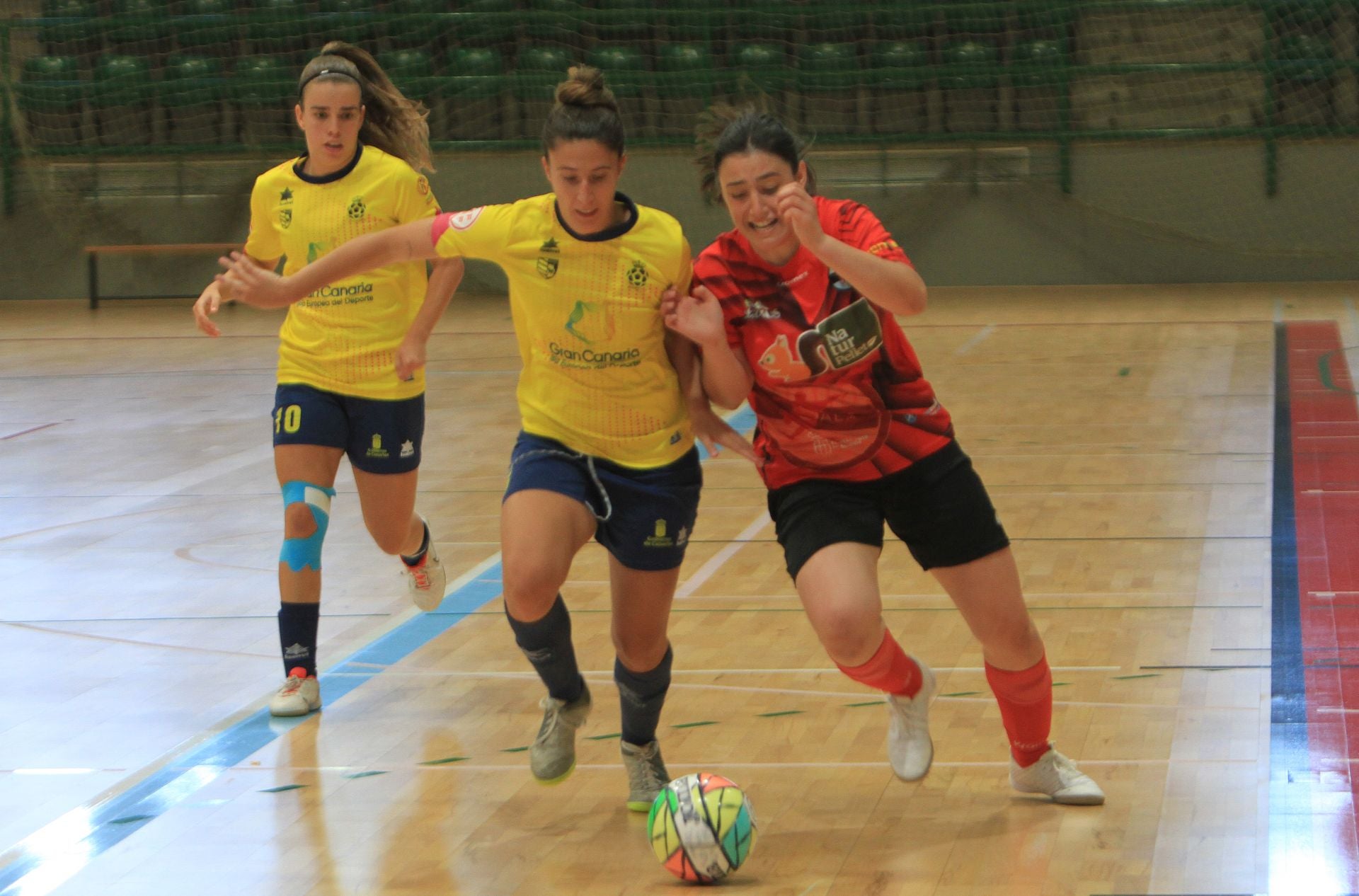 Fotografías del partido entre el Segosala Naturpellet y el Teldeportivo