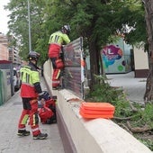 Otro susto con los árboles de Modesto Lafuente