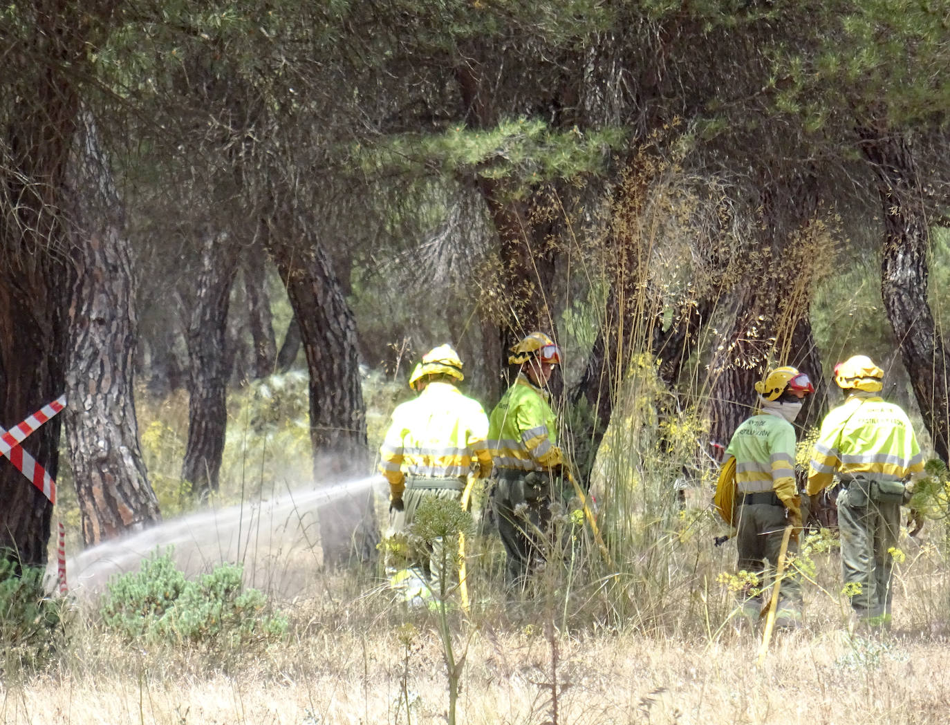 Las imágenes del simulacro de incendio forestal en el Pinar de Antequera