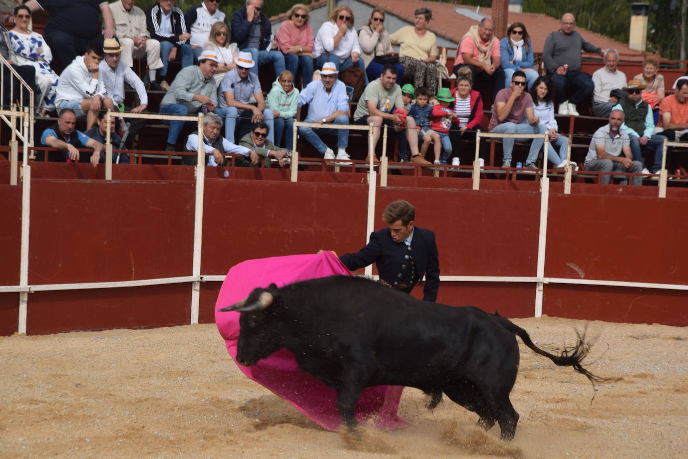 Tarde de toros en las fiestas de Guardo