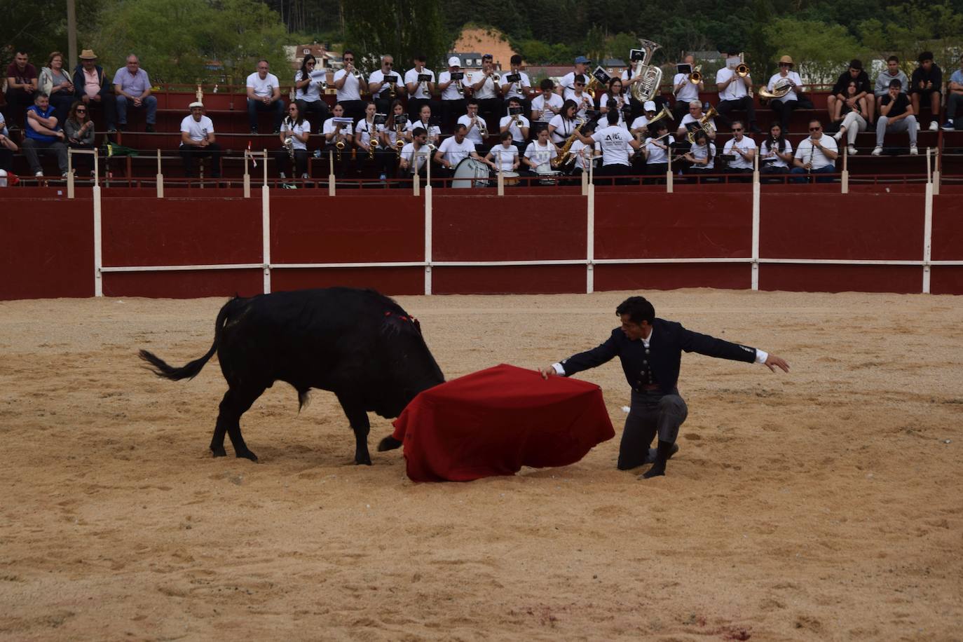 Tarde de toros en las fiestas de Guardo