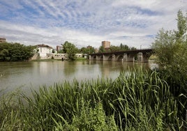 El paseo de Isabel la Católica de Valladolid.