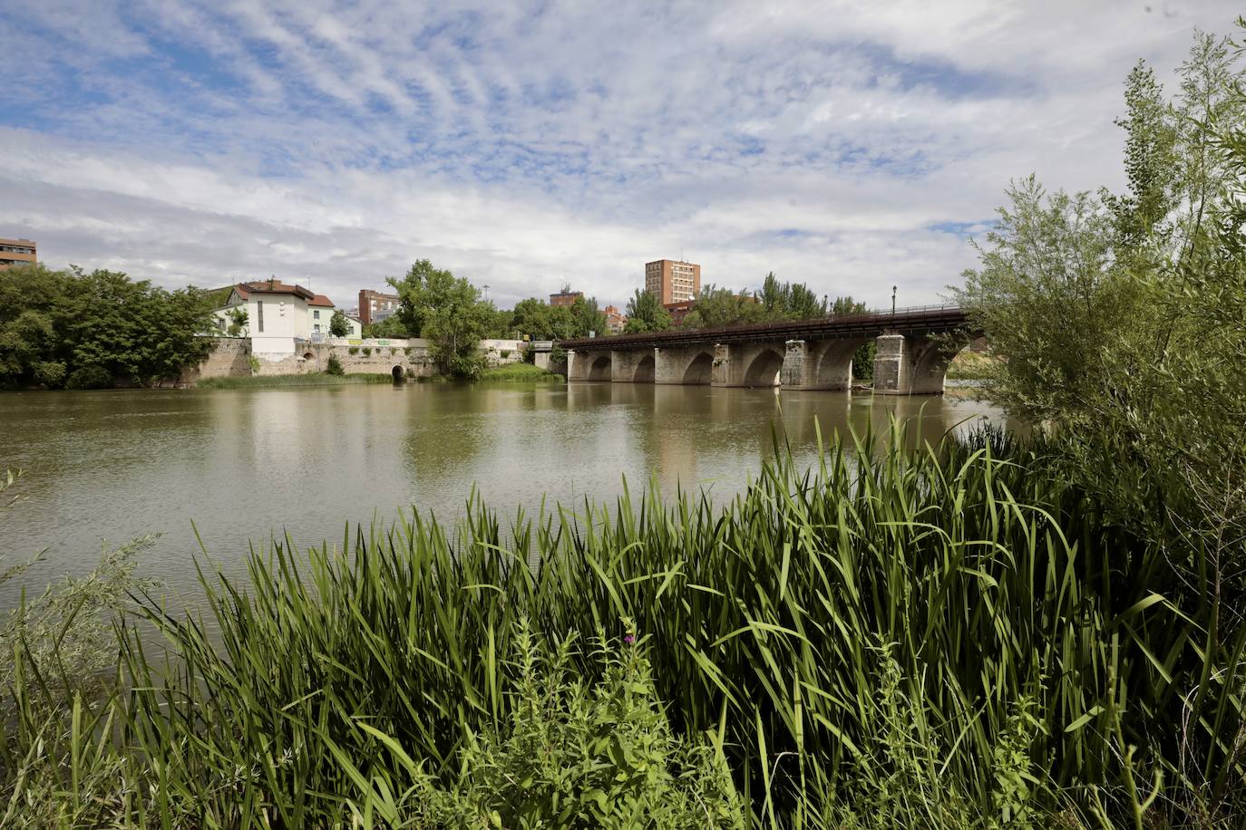 Las imágenes del paseo de Isabel la Católica de Valladolid