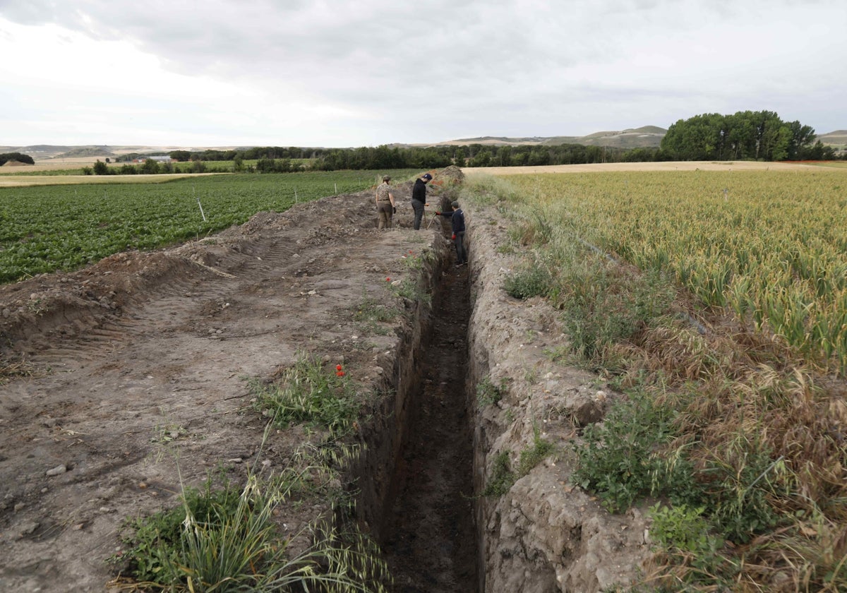 Arqueólogos encargados del peritaje trabajan en la zanja abierta en enero para introducir una tubería de riego.