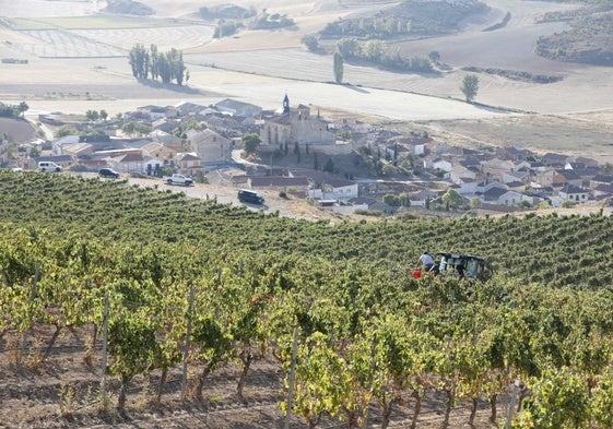 Panorámica del pueblo con viñedo y cereal.