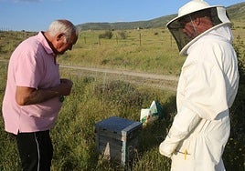 El apicultor Blas Valriberas, en una de sus salidas más recientes.