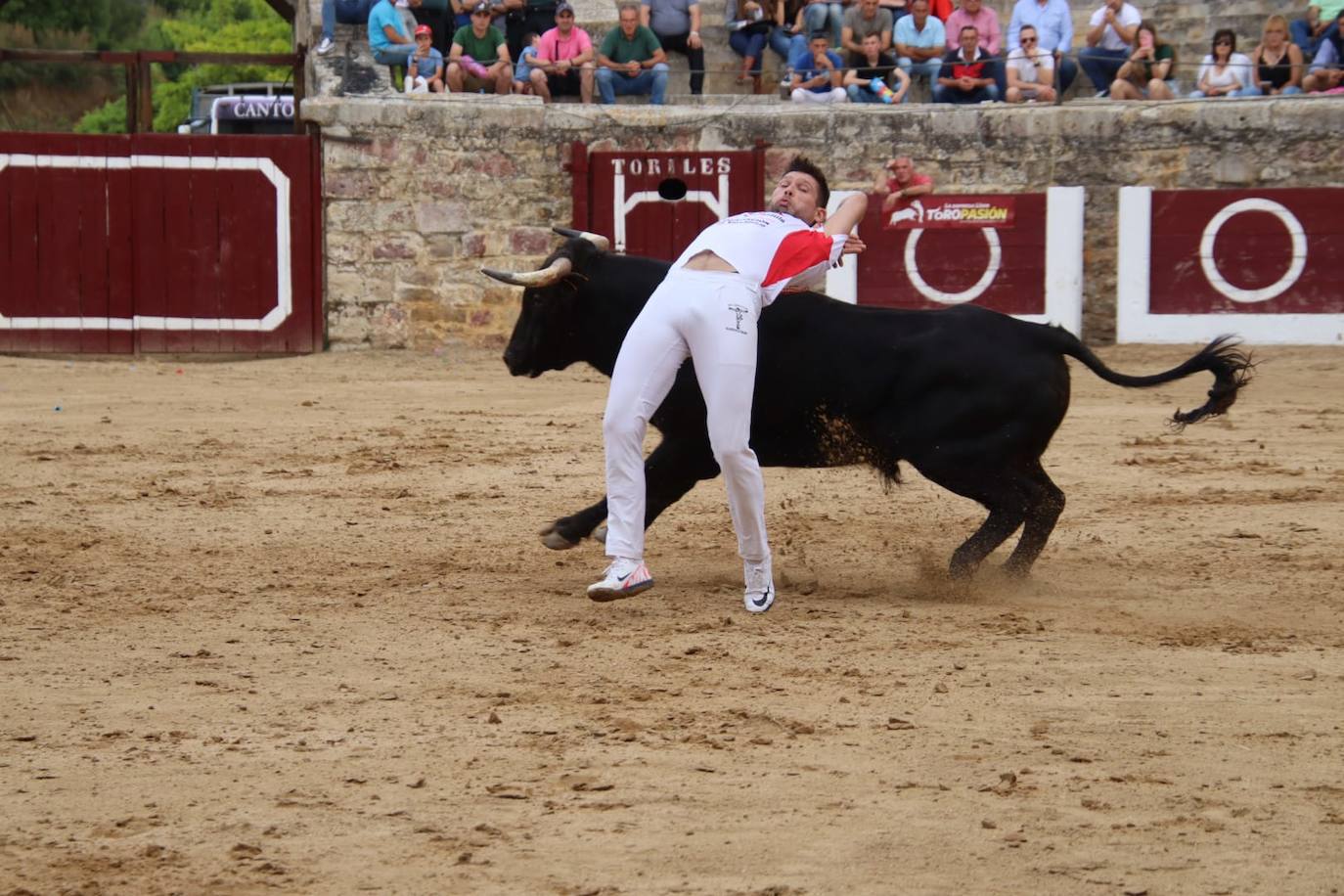 Las imágenes del concurso de cortes en Medina de Rioseco