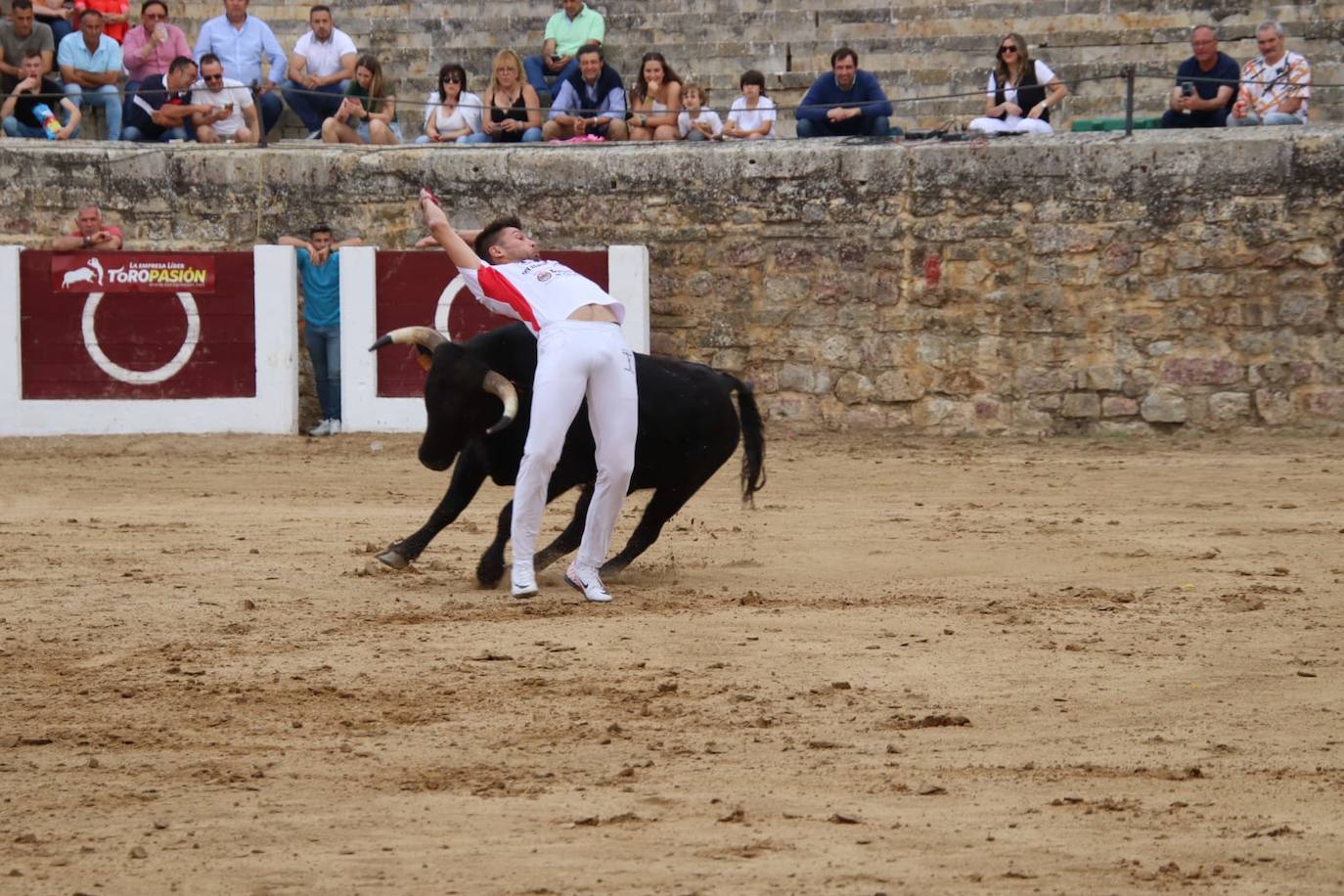 Las imágenes del concurso de cortes en Medina de Rioseco