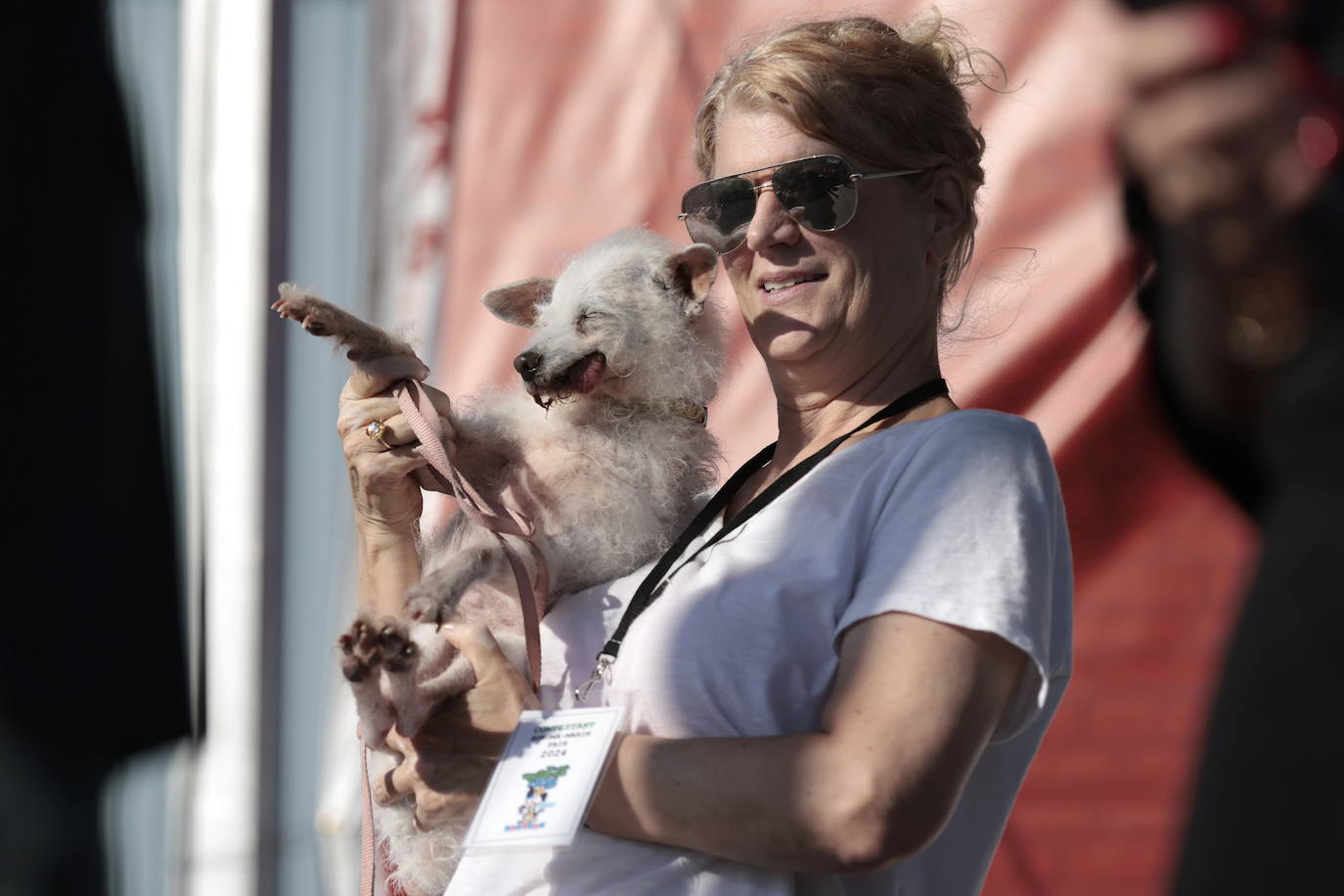 Las imágenes del concurso de los perros más feos celebrado en Petaluma, California