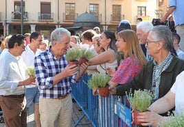 Los representantes de las cofradías reparten el tomillo.