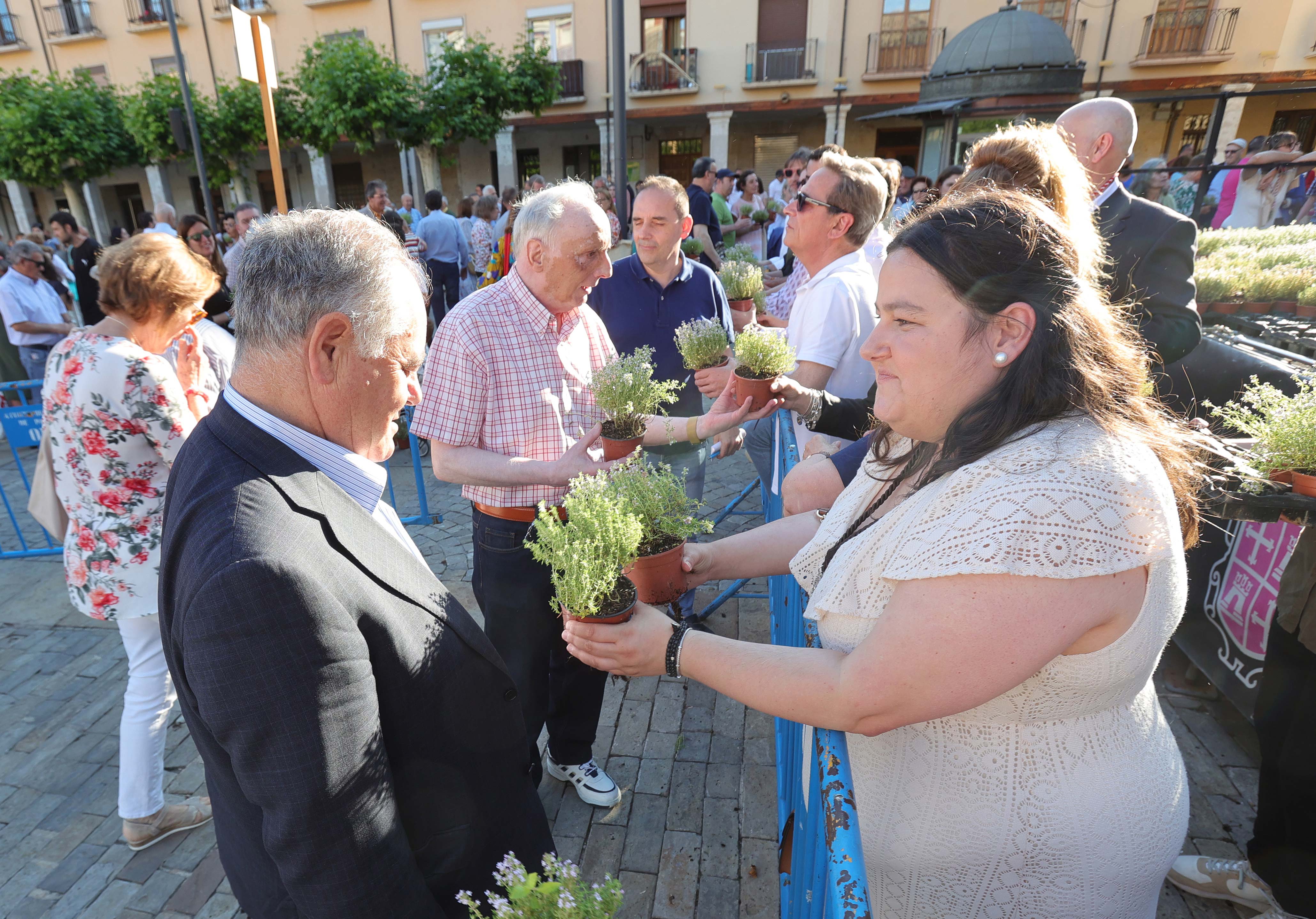 Celebración de San Juan en Palencia