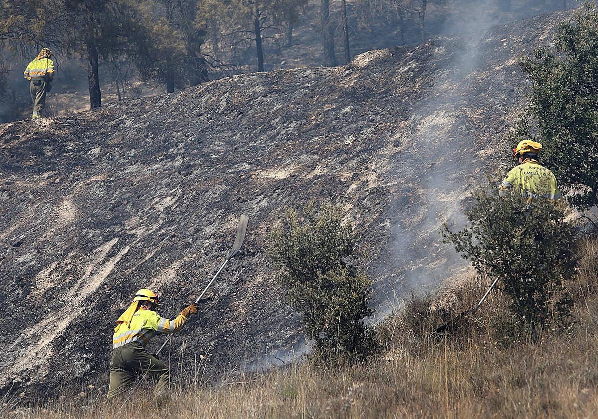 Incendio forestal en la provincia de Palencia.