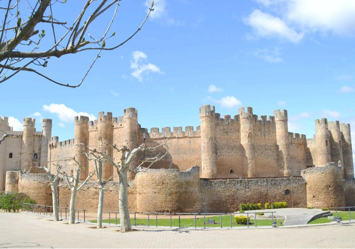 Castillo de Valencia de Don Juan.