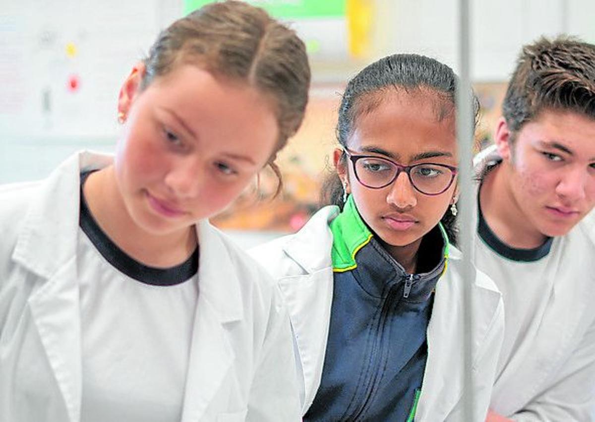 Imagen secundaria 1 - Colegio Internacional de Valladolid, un sistema educativo único en Castilla y León que persigue la excelencia en inglés