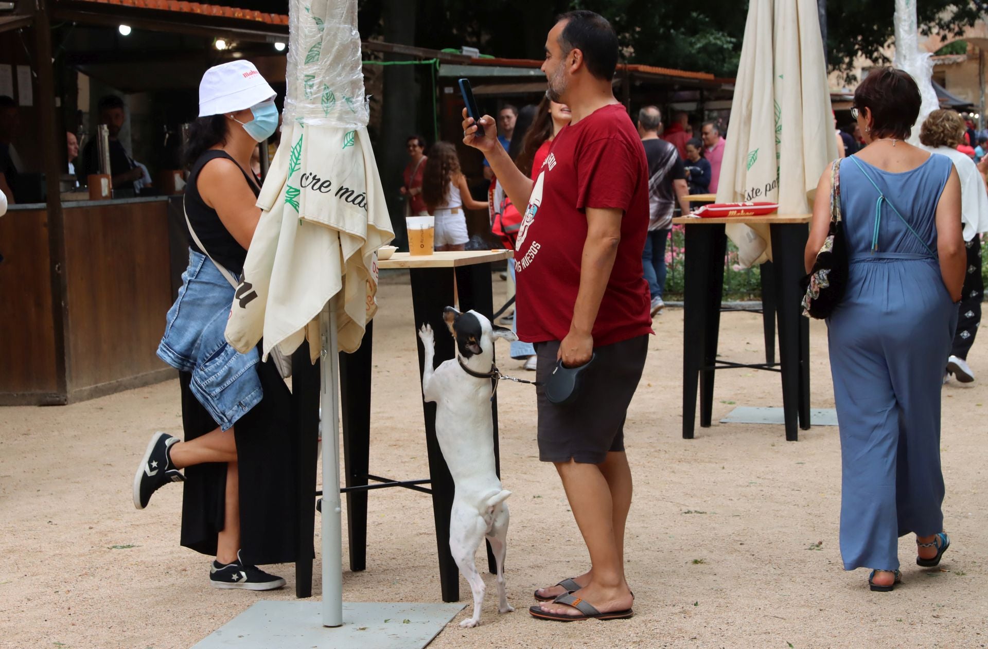 Fotografías de la inauguración de la Feria de Día de Segovia