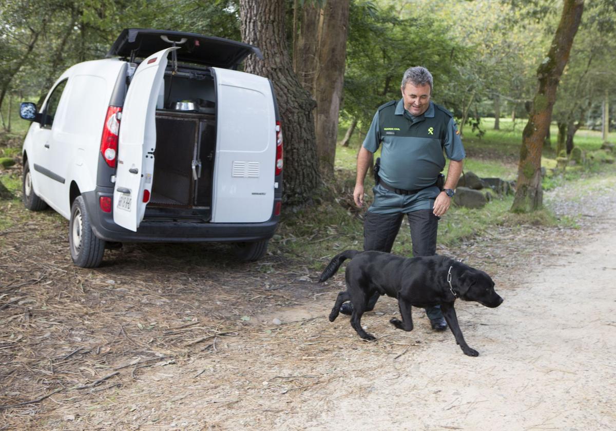 Un agente de la Guardia Civil saca a un perro de la unidad canina para encontrar a personas desaparecidas.