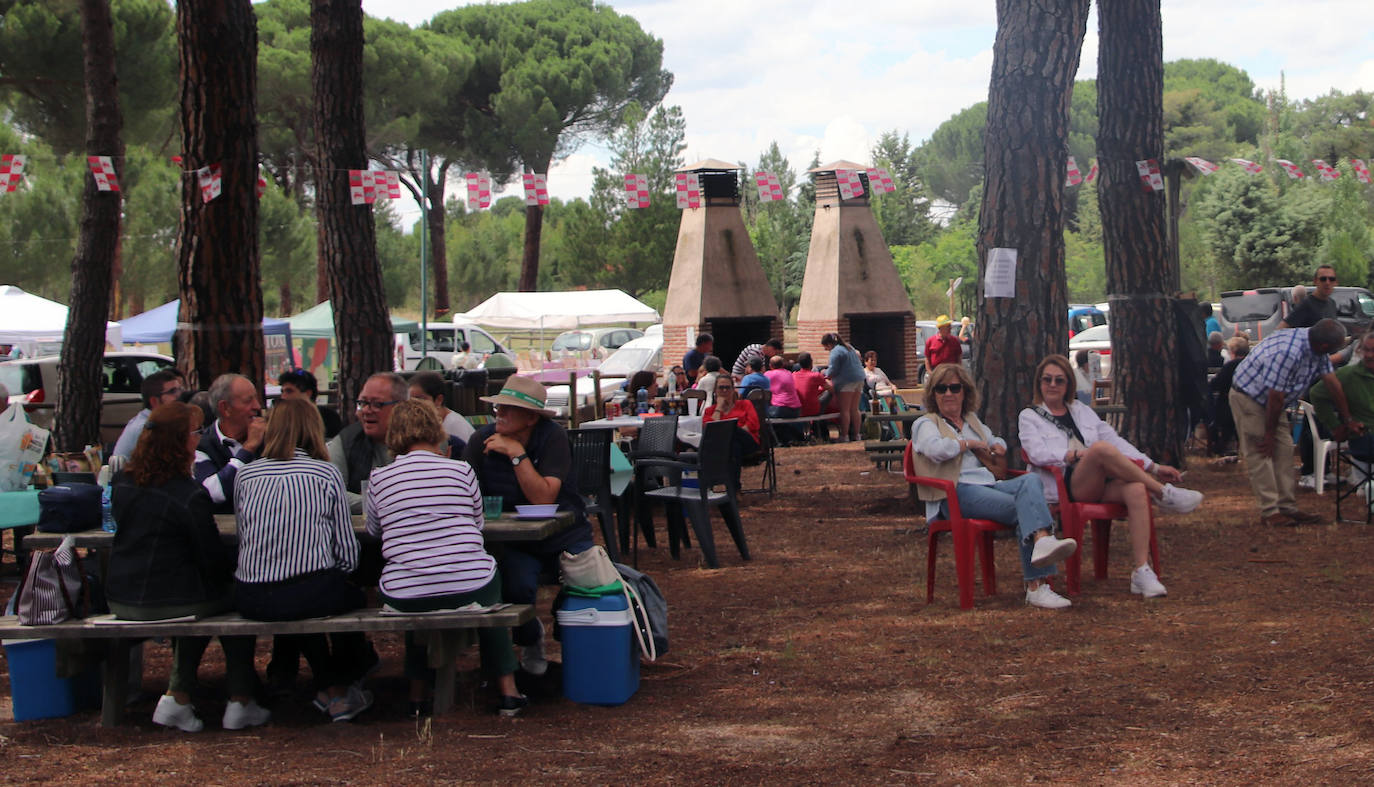 La fiesta de Villa y Tierra Antigua de Cuéllar, en imágenes