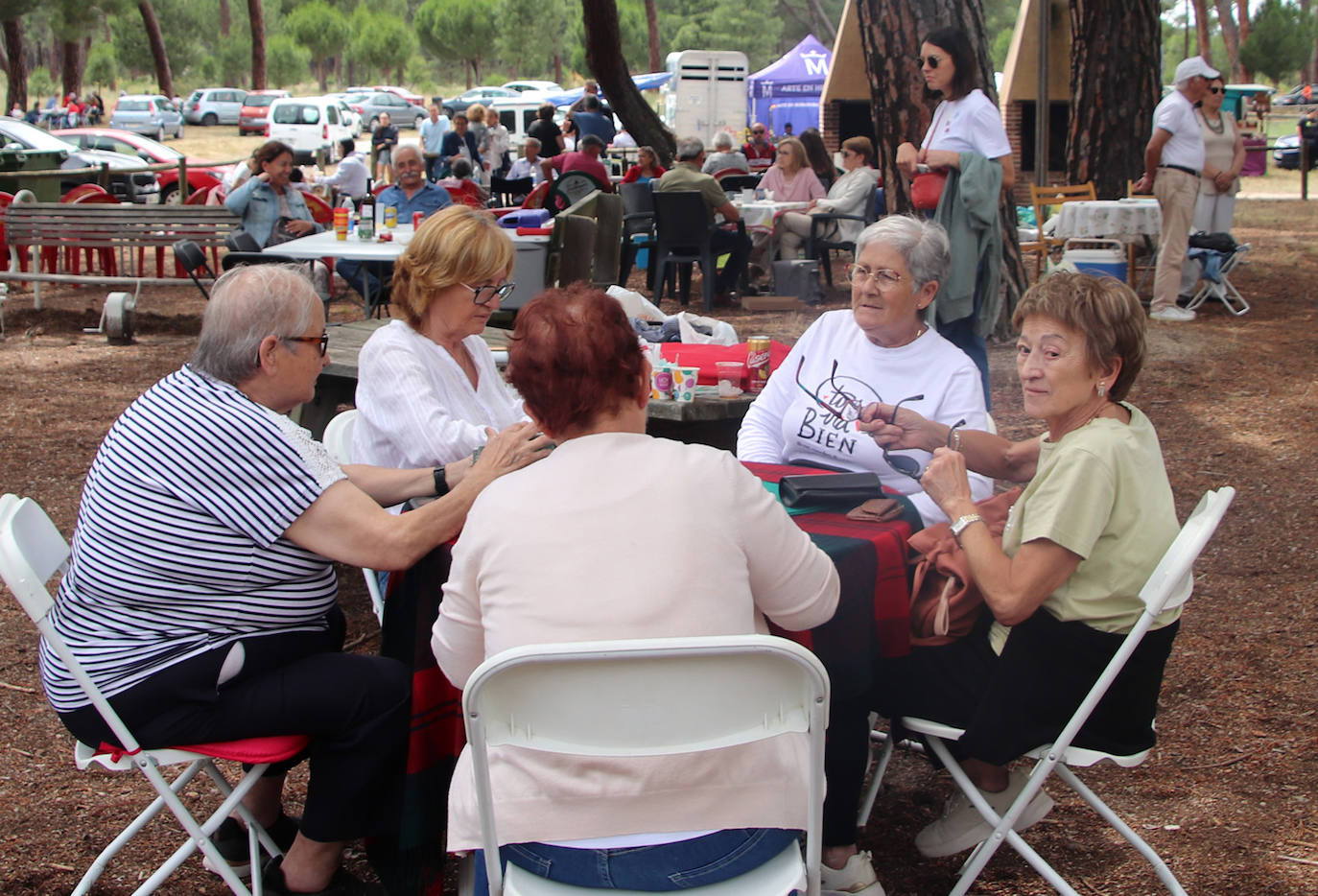 La fiesta de Villa y Tierra Antigua de Cuéllar, en imágenes