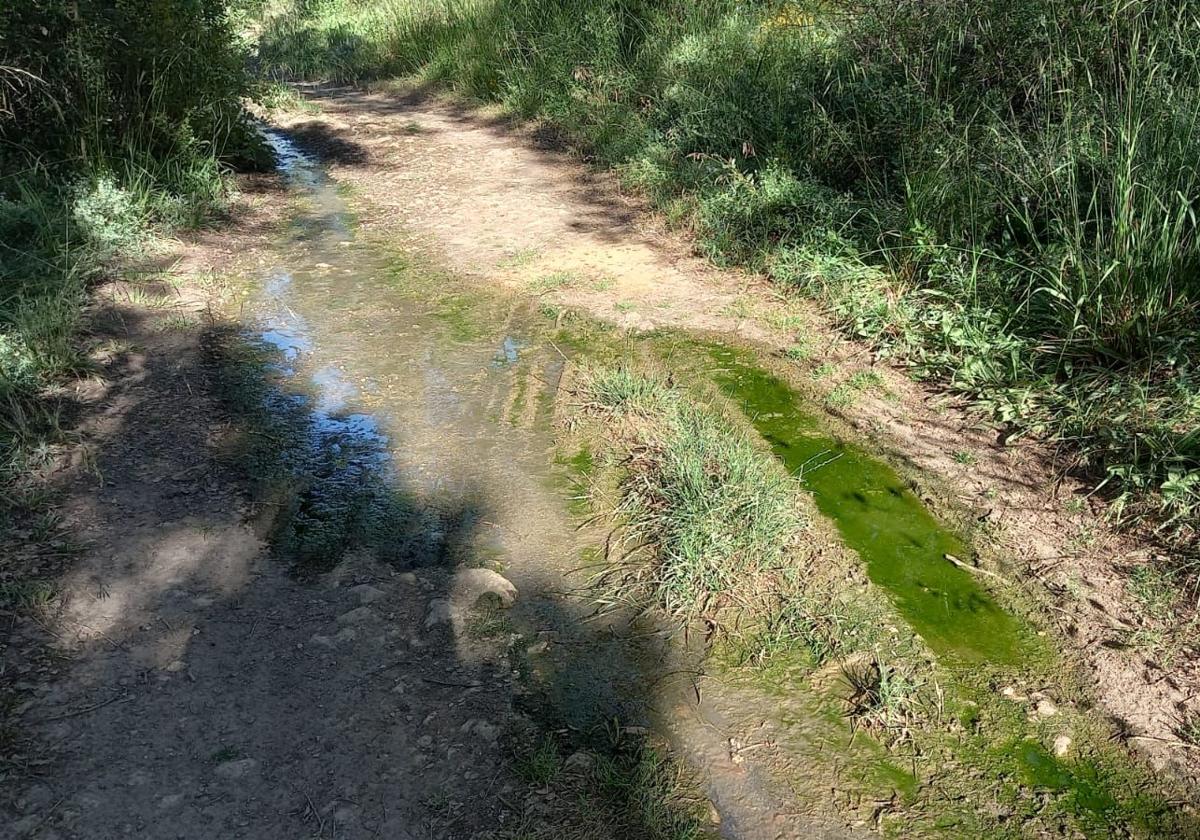 Vertido en el Monte el Viejo.