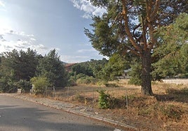 Una de las parcelas de Prado Acero, en el núcleo de San Rafael.