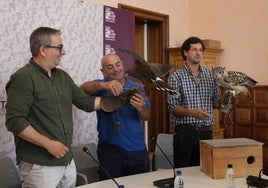 El concejal de Medio Ambiente sujeta un ejemplar de águila.