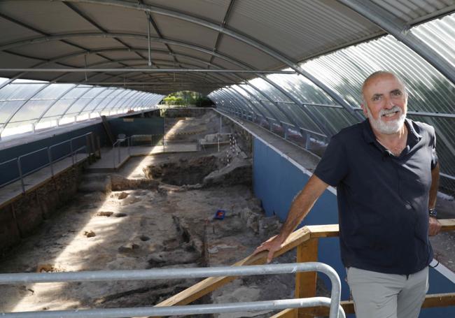 Carlos Sanz Mínguez, arqueólogo del Centro de Estudios Vacceos de la Universidad de Valladolid, en la excavación en un enclave de Las Quintanas, en el yacimiento de Pintia.