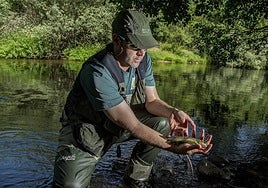 Cotos de truchas arcoíris en Castilla y León, una propuesta inaceptable