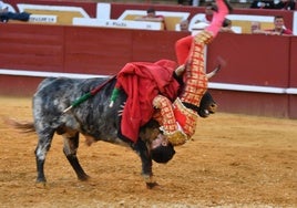 Cogida a Manuel Diosleguarde en Cuéllar en agosto de 2022.