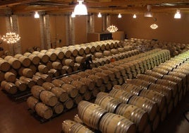 Sala de Barricas de Bodega Pesquera de Duero adaptada al enoturismo inclusivo.