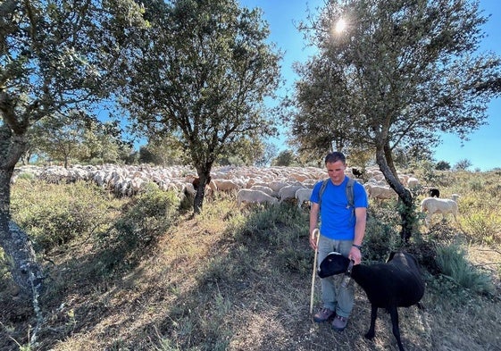 Deme sujeta a la oveja negra de su rebaño mientras el resto de animales aprovechan lo que se encuentran en el campo.