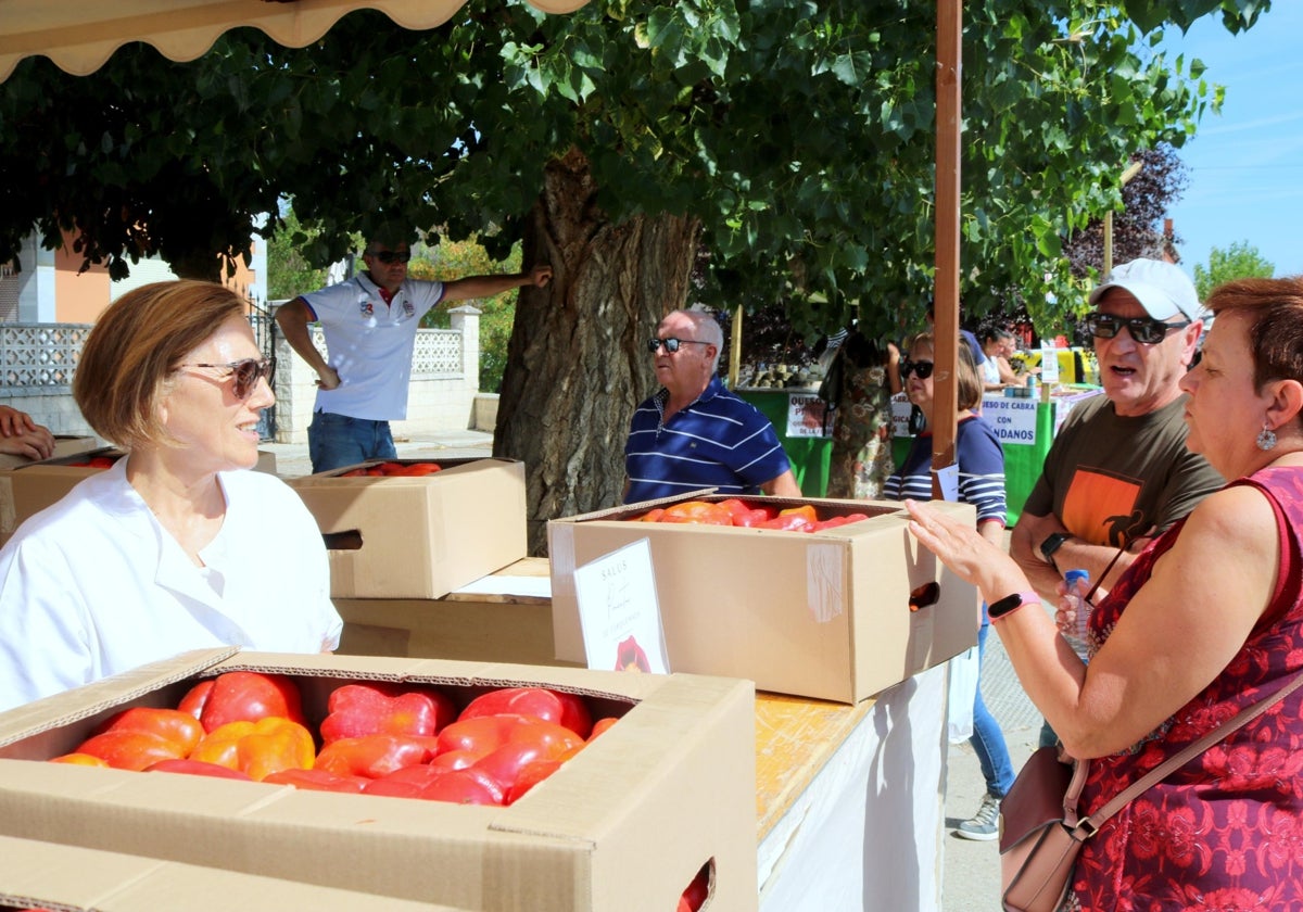 Los pimientos son el producto estrella de la huerta de Torquemada.