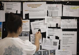 Tablón de anuncios con pisos de alquiler en la Facultad de Filosofía y Letras.