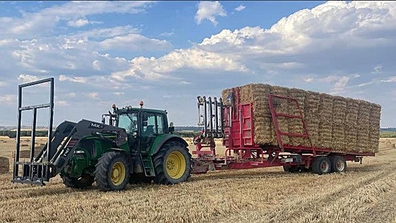 Comienza a cotizar la paja en la lonja de Salamanca